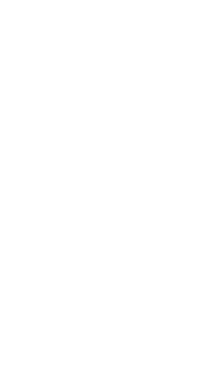 Footer decorative shape